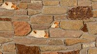 Buechel Stone Caramel Siena - Architectural Thin Veneer Stone and Full Stone Veneer Masonry 6x6