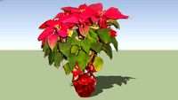 Christmas Star