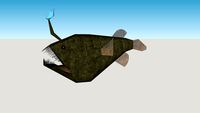 Deep-Sea Anglerfish