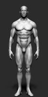 Male Body Form3d model