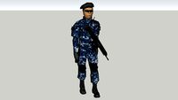 policia federal preventiva gendarmeria nacional
