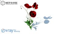 Flowers, hight poly + maps, vray ready (002)