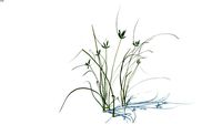 Grass, hight poly, vray ready (137)