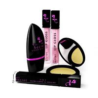 Cosmetics 81 Am101 Women's Makeup Set - 3D Model