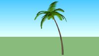 Palm tree