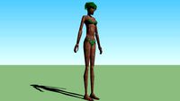Tree Woman