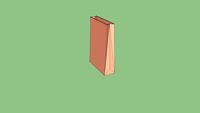Shopping paper bag