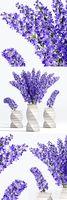 Purple flower vase