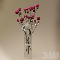 roze & bird