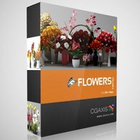 3D Model Volume 6 Flowers FBX &amp; OBJ
