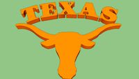 longhorns