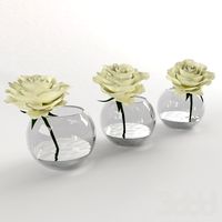 White roses in a glass vessel