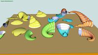 Seashells