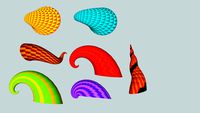 Seashells