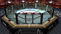 Dynamic UFC Octagon