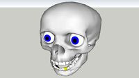 super tete de mort 3d