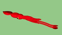 Colossal Squid