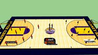 Sydney Kings - Basketball Court to scale