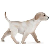 Dog 38 am83