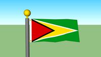 Guyana flag with Flagpole