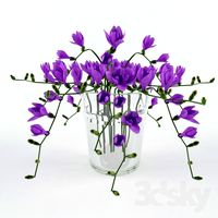 Bunch of freesias