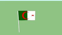 drapeau algerie
