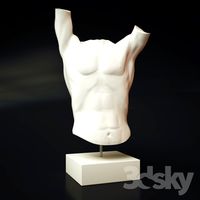 Torso Spin