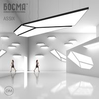 ASSIX (BOSMA) / ASCIKS (Bosma)