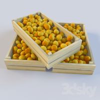 Apricots