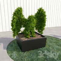 Eagle - bush - topiary