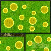 Stabilized moss cover.