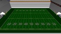 Giant Football Field