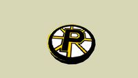 PROVIDENCE BRUINS PUCK