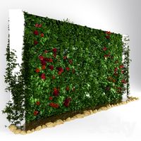 Vertical gardening