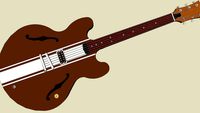 Tom DeLonge Signature Guitar