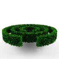 Hedge maze