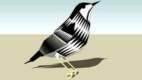 Blackpoll Warbler