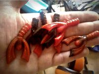 Bass Fishing Tiny Crab 60mm Mold by Macia