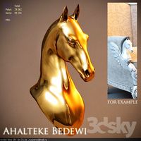 Portrait of horse of akhal
