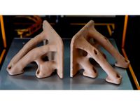 Topology Optimized Mini Shelves by freezyAndHaze