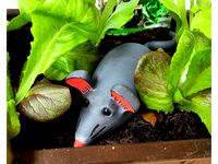 GeoMouse - Geocache container by HardyP