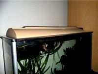 Fluval Spec V 19L - Reflector for Light by spleenharvester