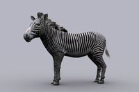 ZEBRA with Native File