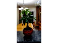 Low Poly Vase Remix by GingerBrandon