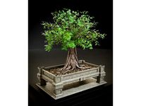 bonsai pot by Van_Theuni