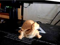 Tortoise by boldufle