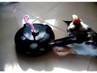 3D Printed Interactive Cat Toy by ahmeted