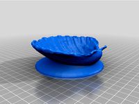 Sea Shell with base by hellas3Dmodeling