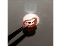 FPVCycle BabyTooth Accessories by 001010