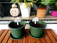 Planter Signs by DJGummikuh